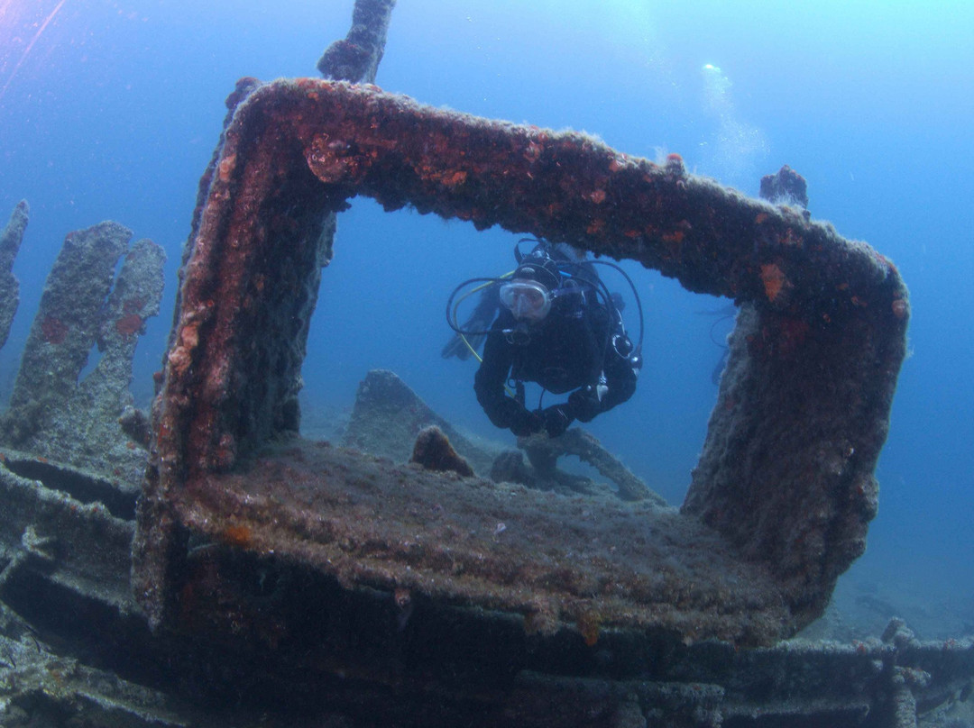 Bougainville Diving景点图片