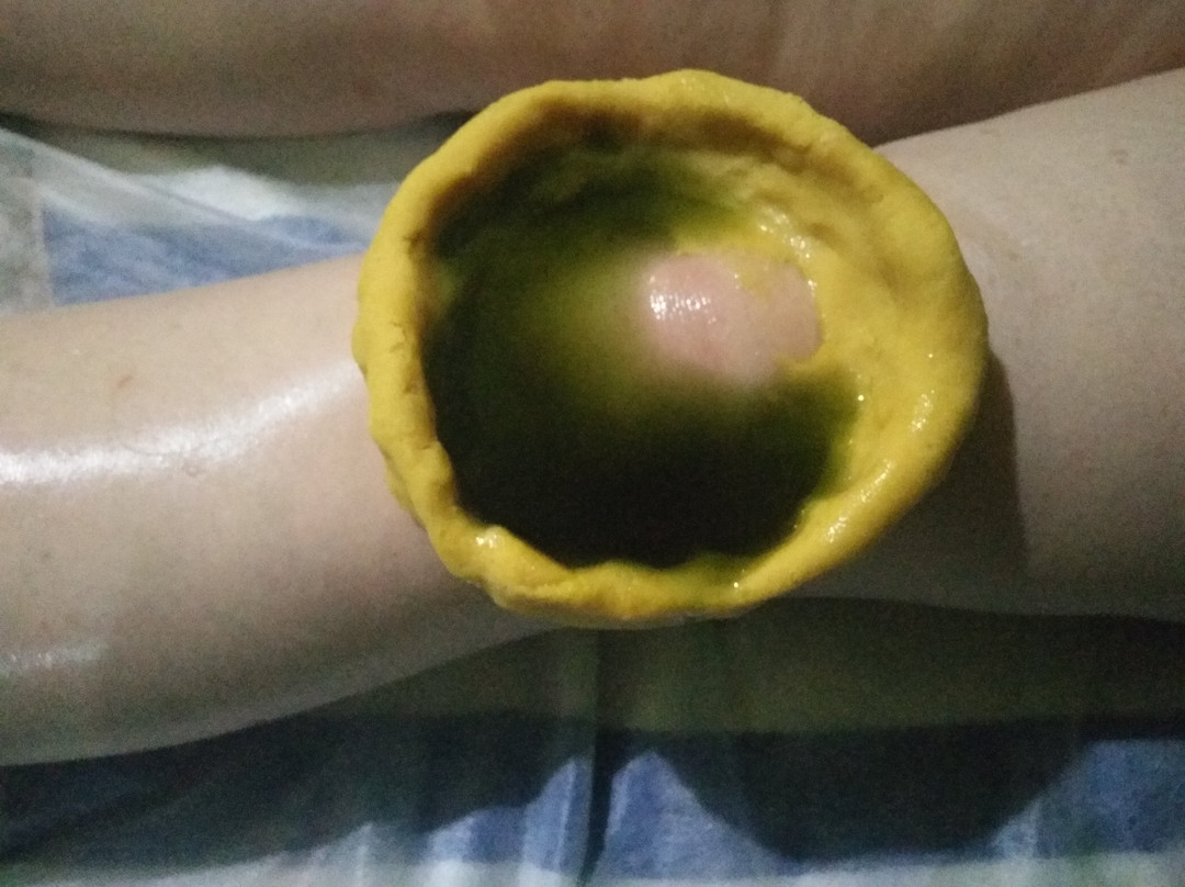 Arya  Ayurvedic Center景点图片