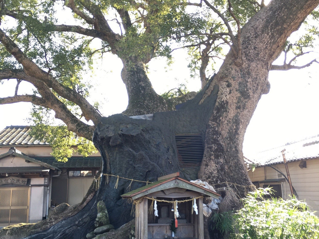 Kakurega no Mori-朝仓市必去景点