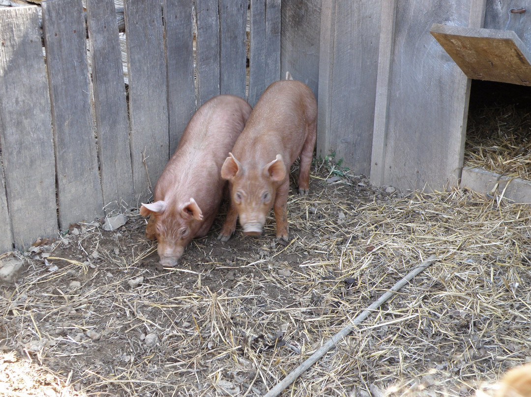 Golden Pond Visitor Center-Golden Pond必去景点