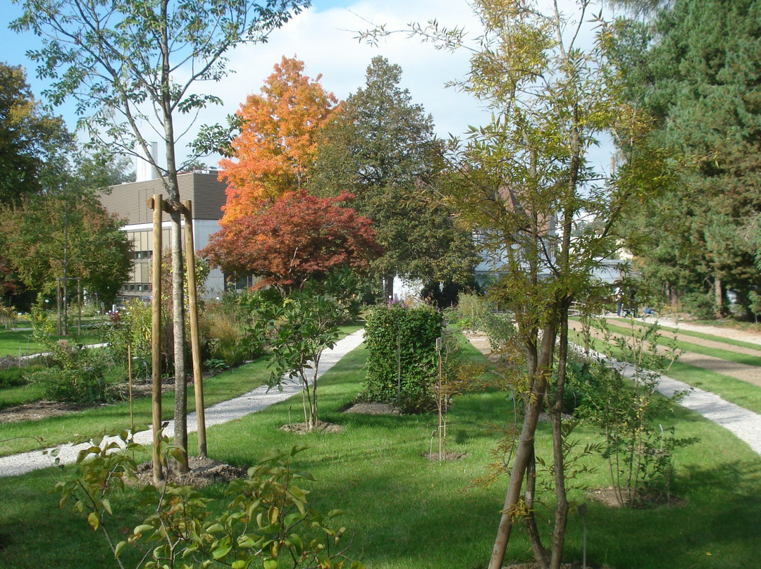 Jardin botanique de l'Université de Fribourg-弗里堡必去景点