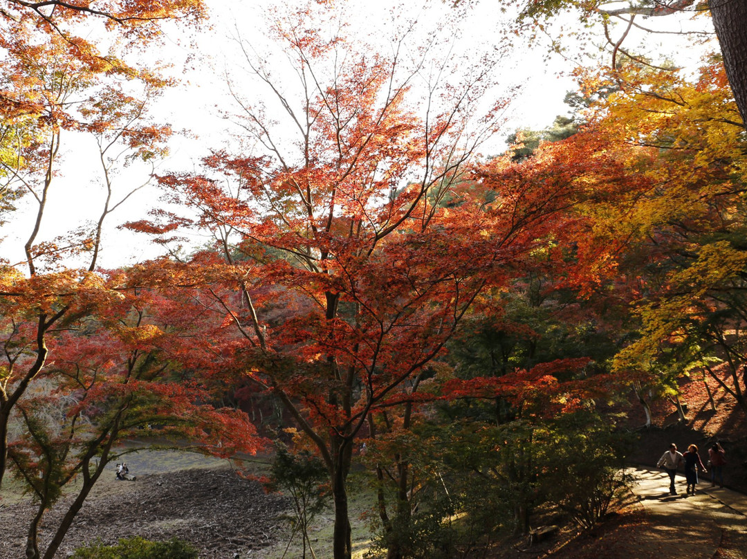 Shuzenji Nature Park-伊豆市必去景点