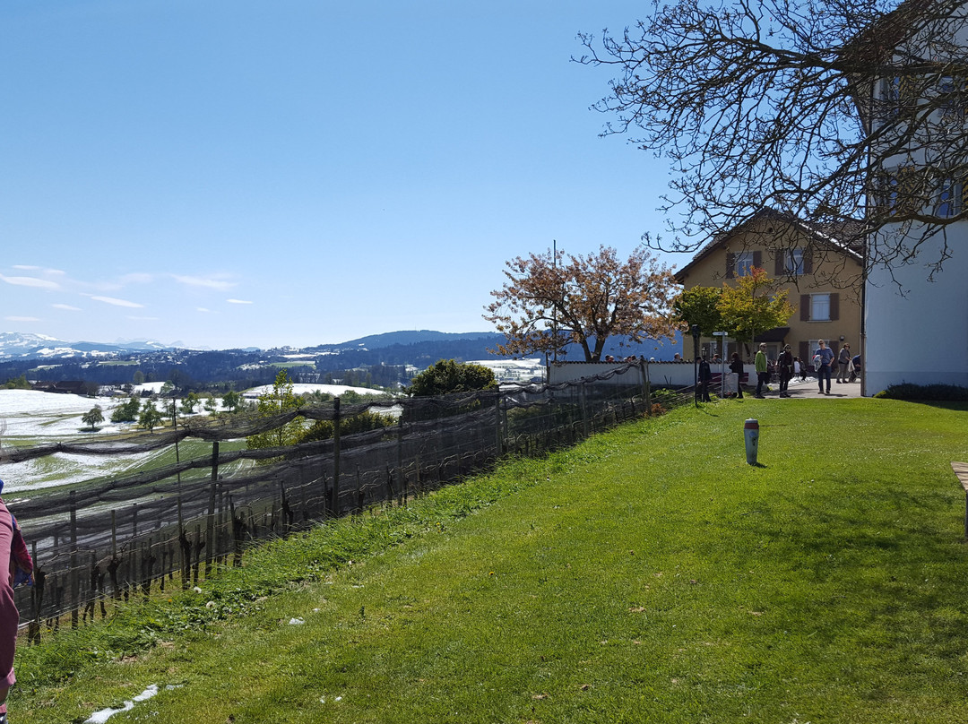 Schloss Dottenwil景点图片