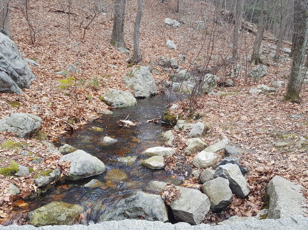 Lynn Woods-Lynn必去景点