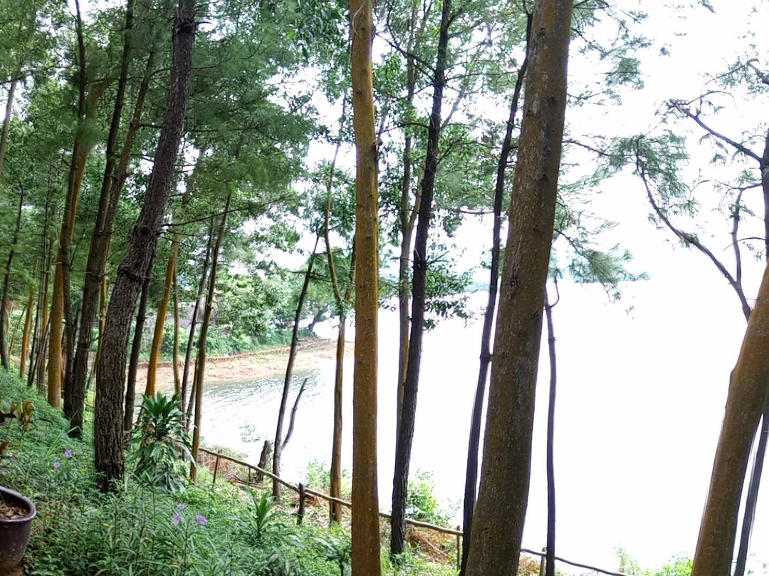 Phu Ninh Lake-Tam Ky必去景点