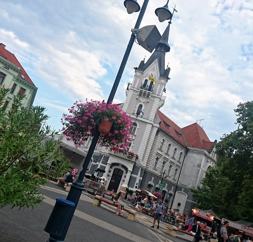 Kaposvar Plaza景点图片