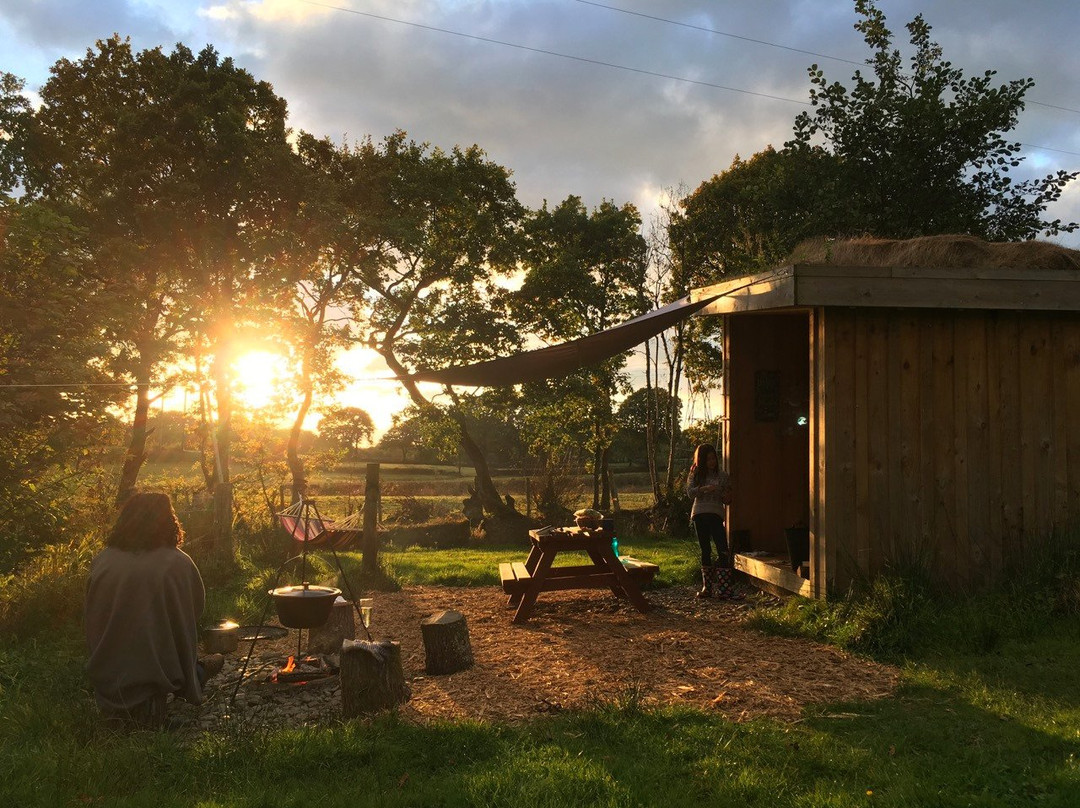 One Cat Farm Cabins