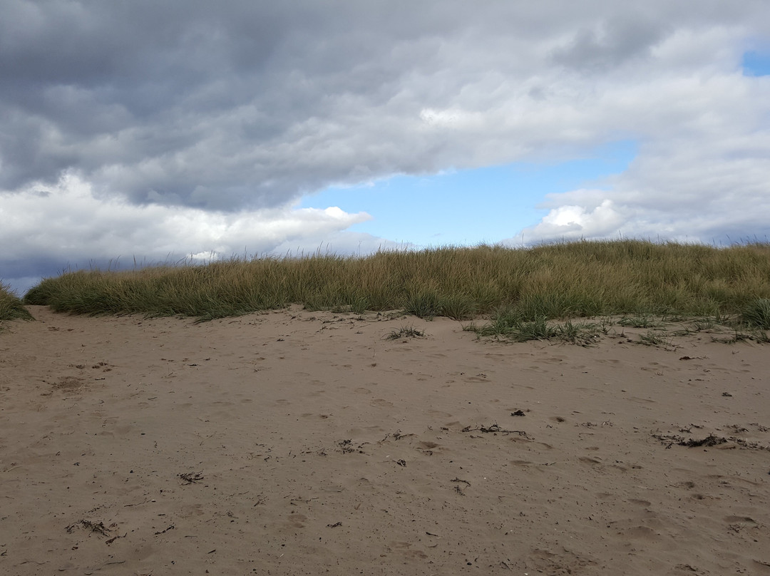 Conrad's Beach-Lawrencetown必去景点