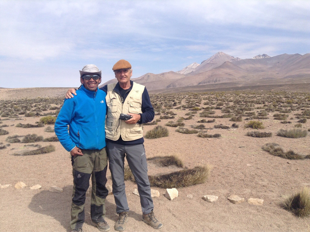 Katamaran Lagos Andinos Day Tours-Petrohue必去景点