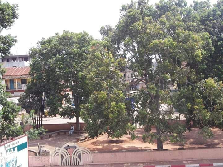 Jardin Place Jean Bayol-Porto-Novo必去景点