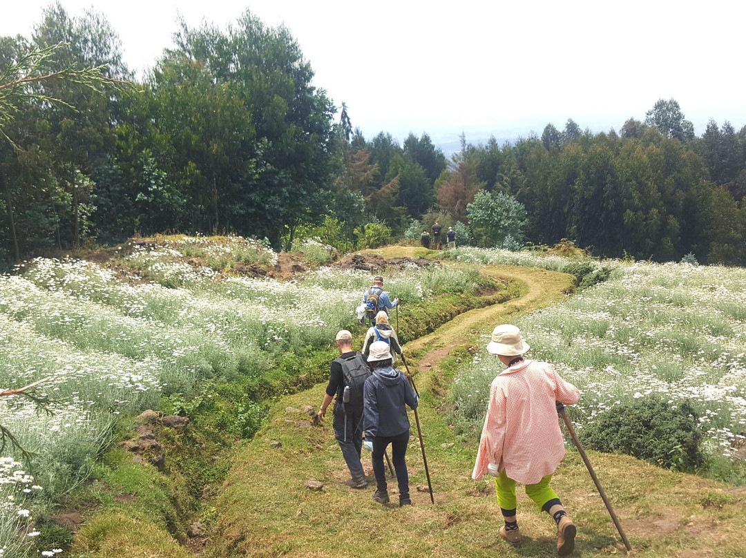 Intare Safaris Rwanda景点图片