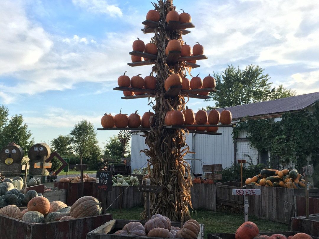 The Great Pumpkin Patch-Arthur必去景点