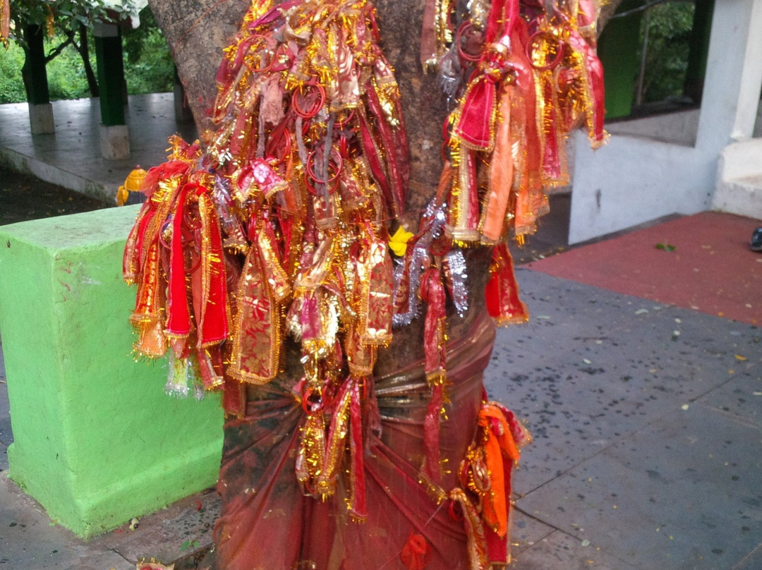 Maa Sikhar Chandi Temple-布巴内斯瓦尔必去景点