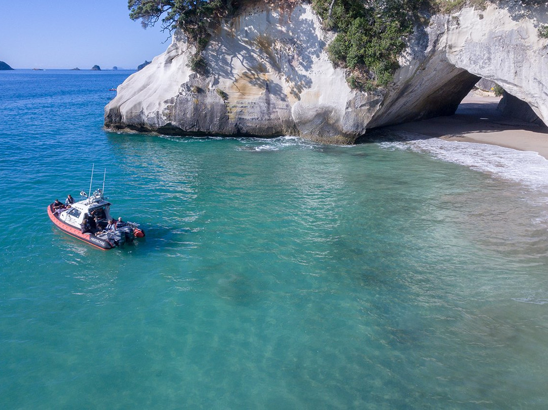 Cathedral Cove Scenic Cruises-菲蒂昂格必去景点