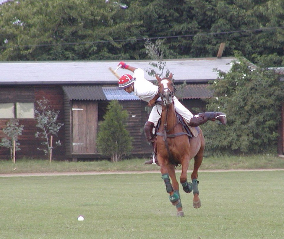 Ham Polo Club景点图片