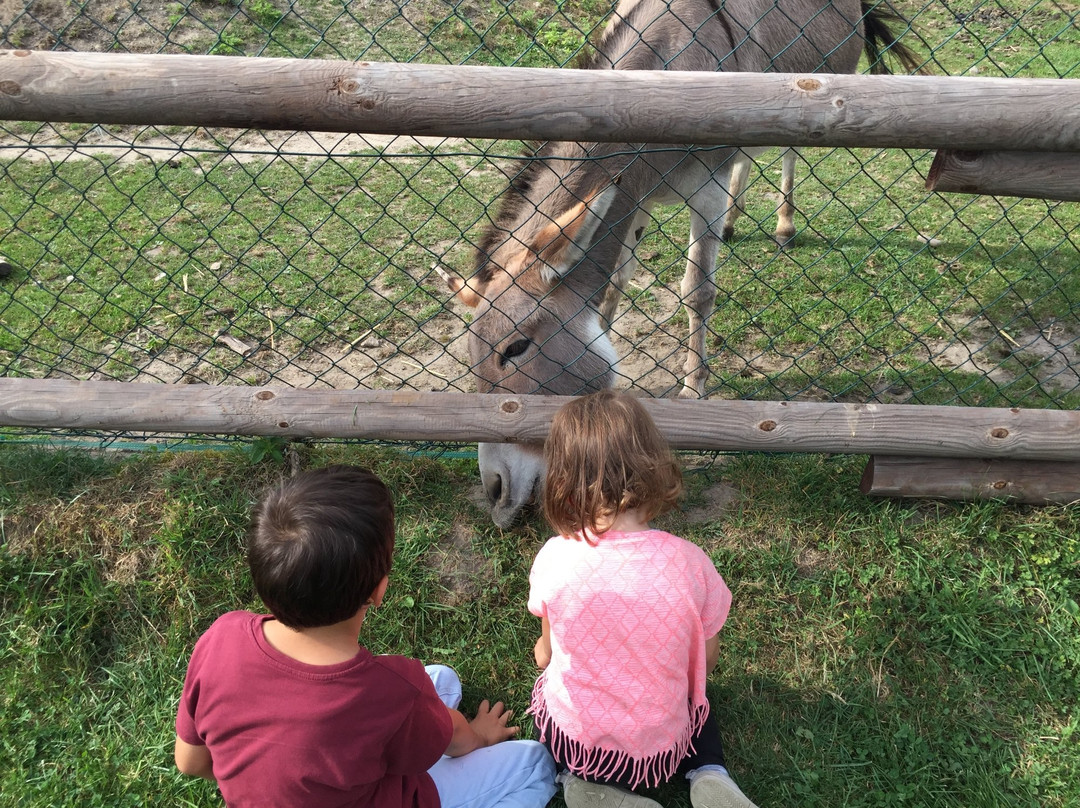 Brunnenhof in der Ried