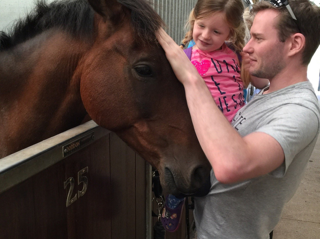 World Horse Welfare Penny Farm景点图片