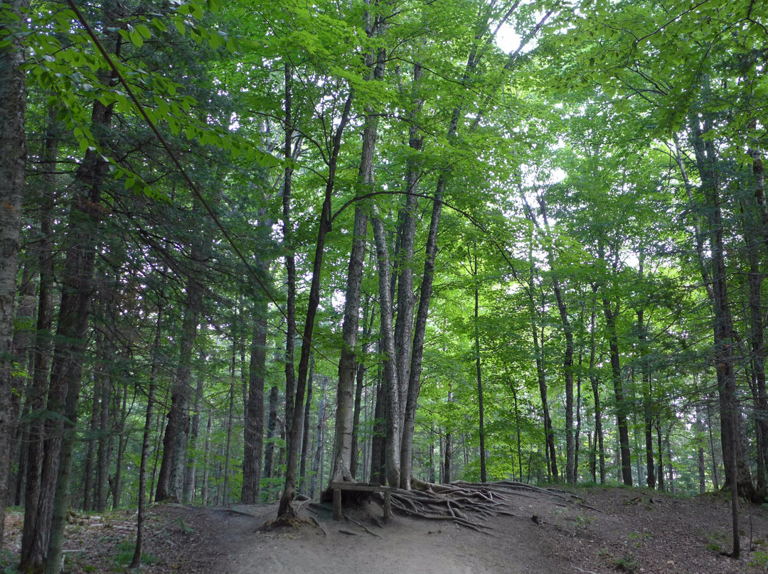 Parc des Deux  Rivières-East Angus必去景点