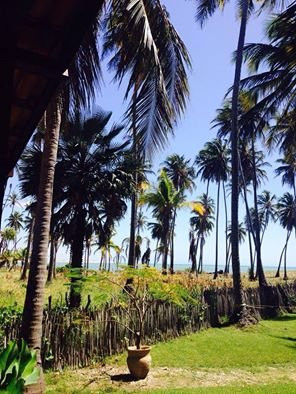 Icarai de Amontada酒店住宿-Pousada Hibisco Icaraí de Amontada