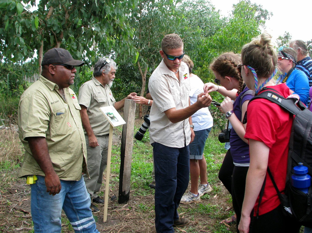Mungalla Aboriginal Tours-Ingham必去景点