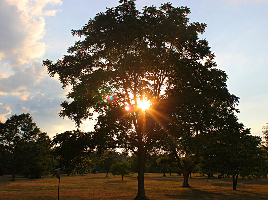 Cushing Memorial Park景点图片