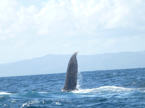 VacationsTaxis-Santa Barbara de Samana必去景点