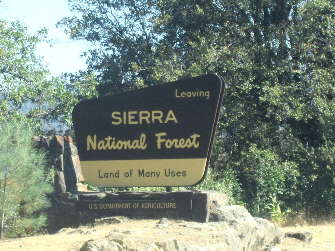 Sierra National Forest景点图片