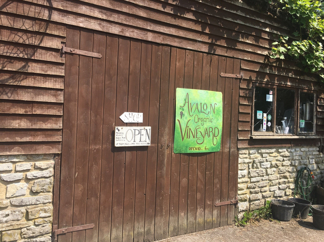 Avalon Vineyard-East Pennard必去景点