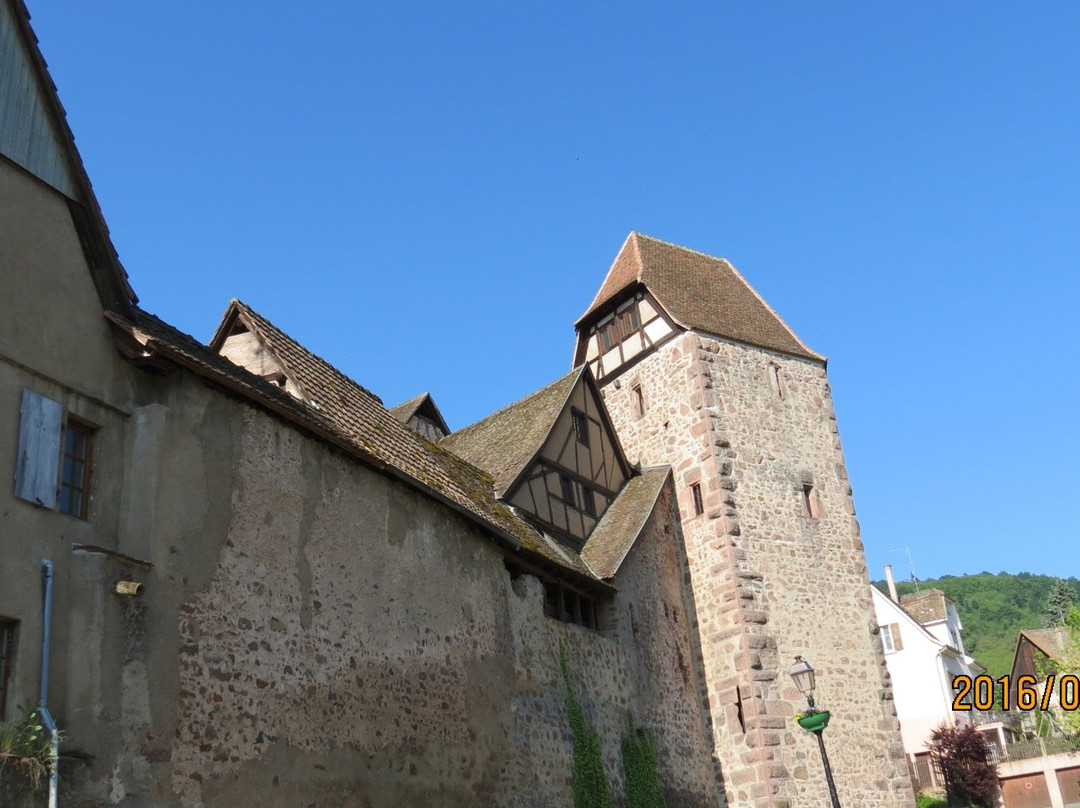 Musée de la Tour des Voleurs景点图片