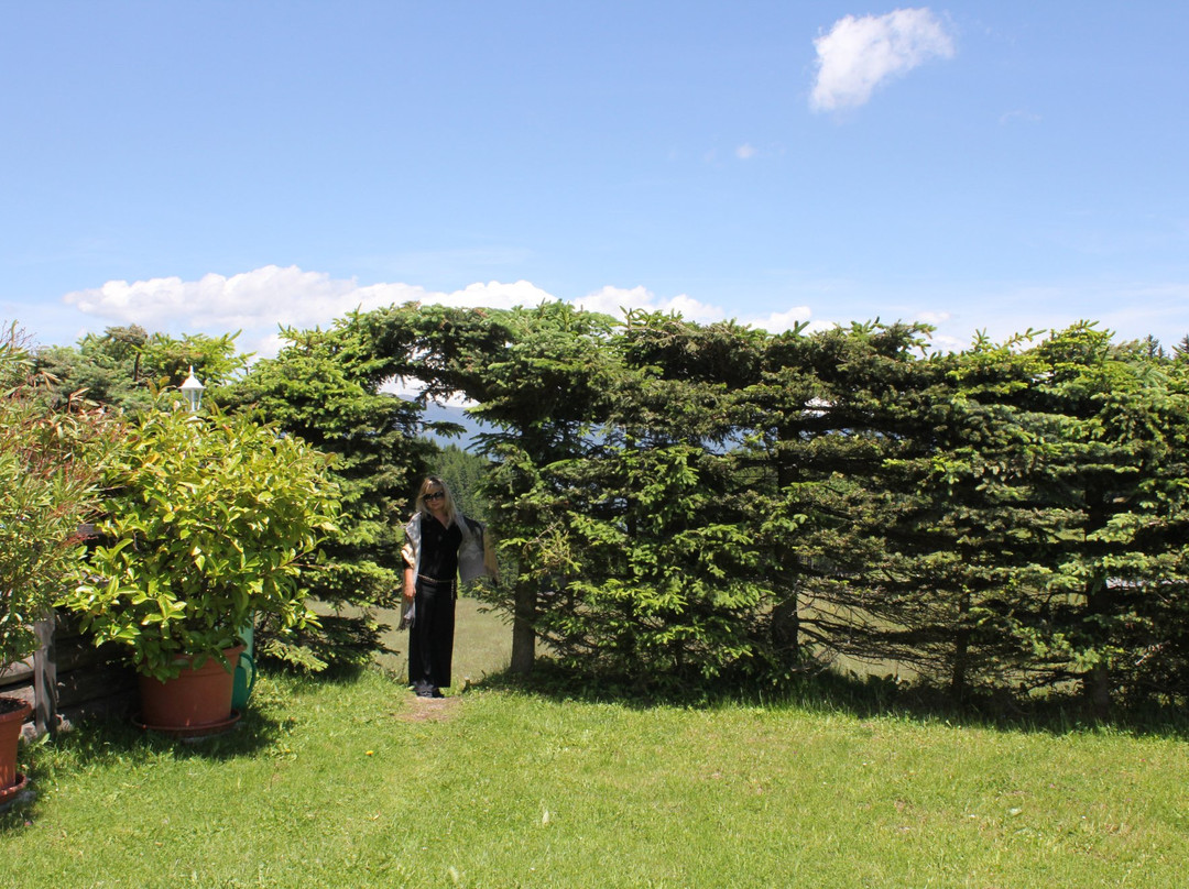 Hotel Gasthof Buchbauer主图