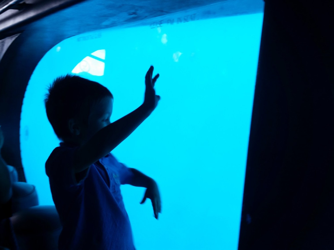 Neptune Submarine Boat-亚喀巴必去景点