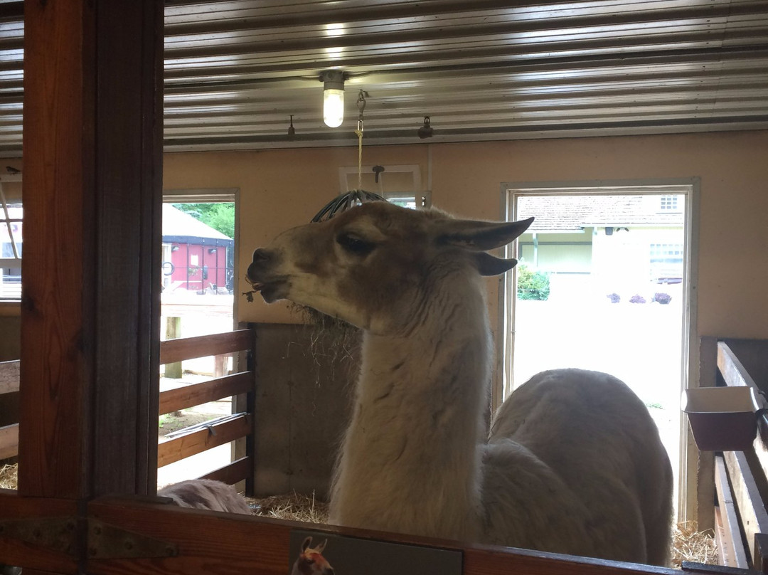 Cosley Zoo-Wheaton必去景点