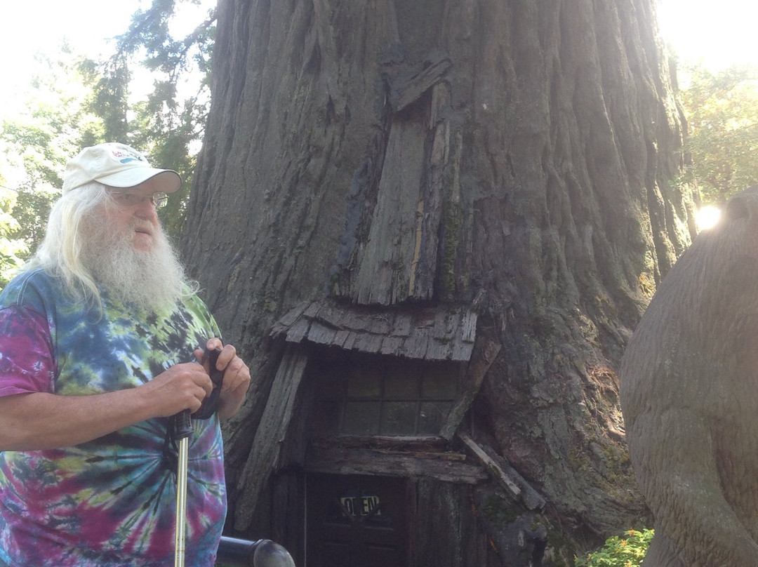 World Famous Tree House景点图片