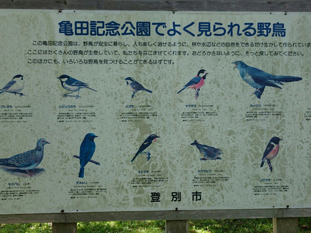 Kameda Memorial Park-登别市必去景点