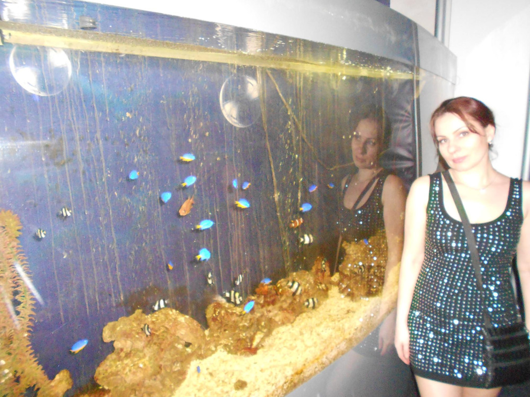 Anapskiy Okeanarium-阿纳帕必去景点