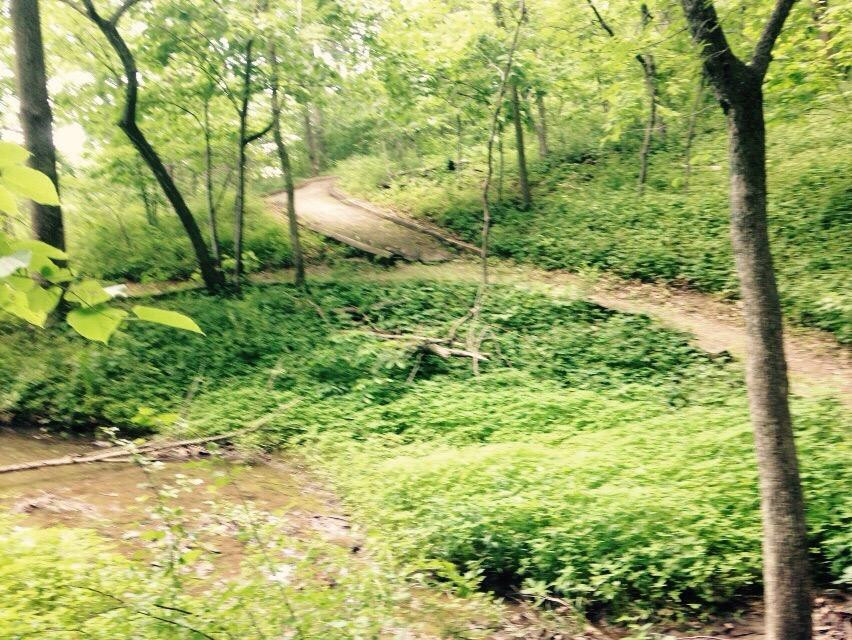 Wallace State Park-Cameron必去景点