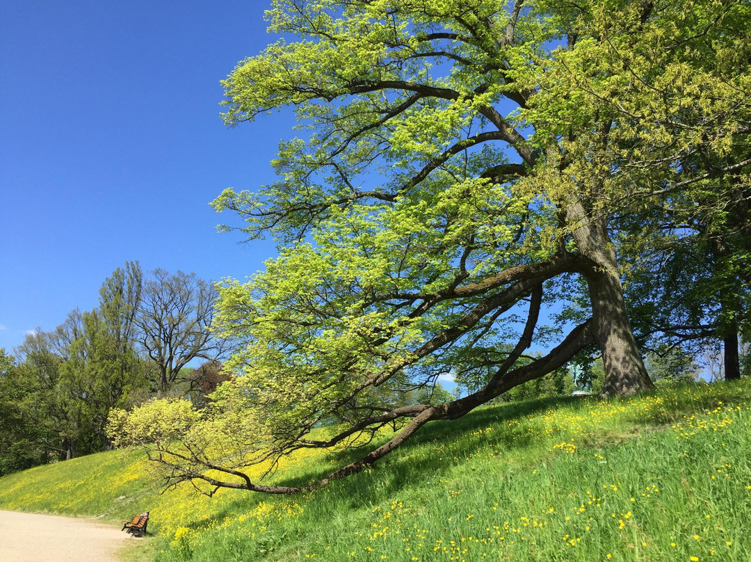 Hofgarten景点图片