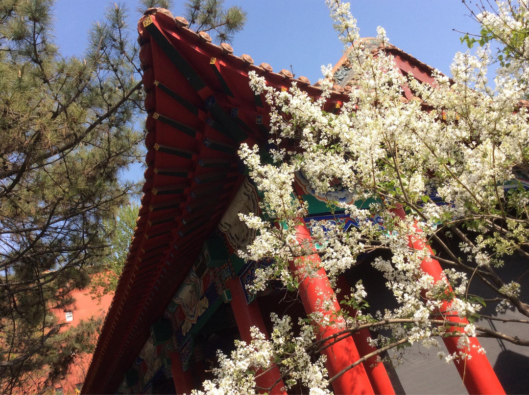 碑林公园-太原市必去景点