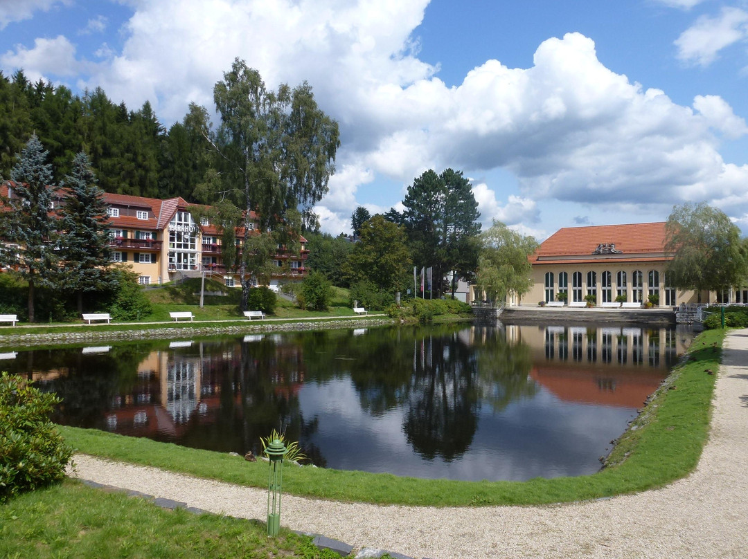 Parkhotel Bad Brambach主图