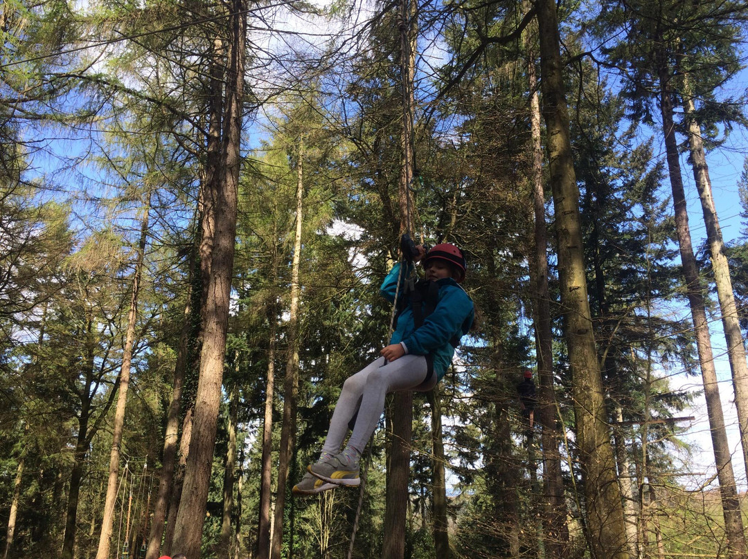 Forest of Dean Adventure Activities-Coleford必去景点