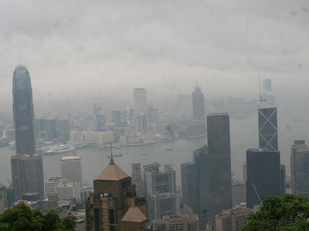 Splendid Tours & Travel景点图片
