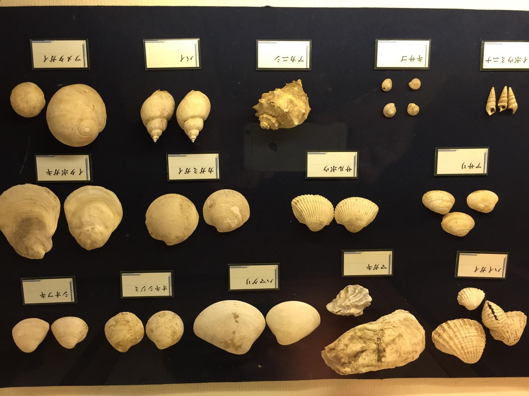 Tobinodai Historic Park Museum-船桥市必去景点