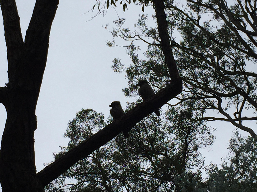 Lake Navarino Forest Park景点图片