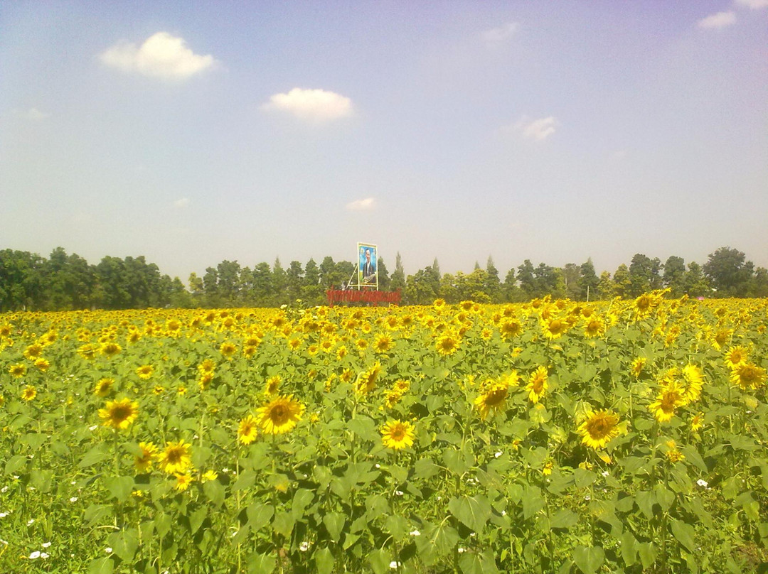 Suphanburi Agricultural Extension and Development Center