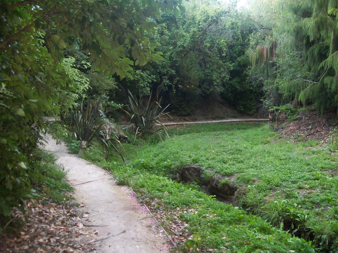 Karituwhenua Stream Walkway景点图片