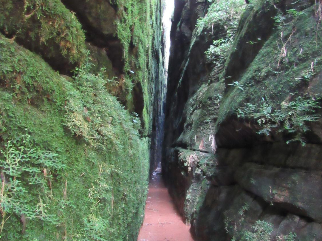 Salto da Cotia-Castro必去景点