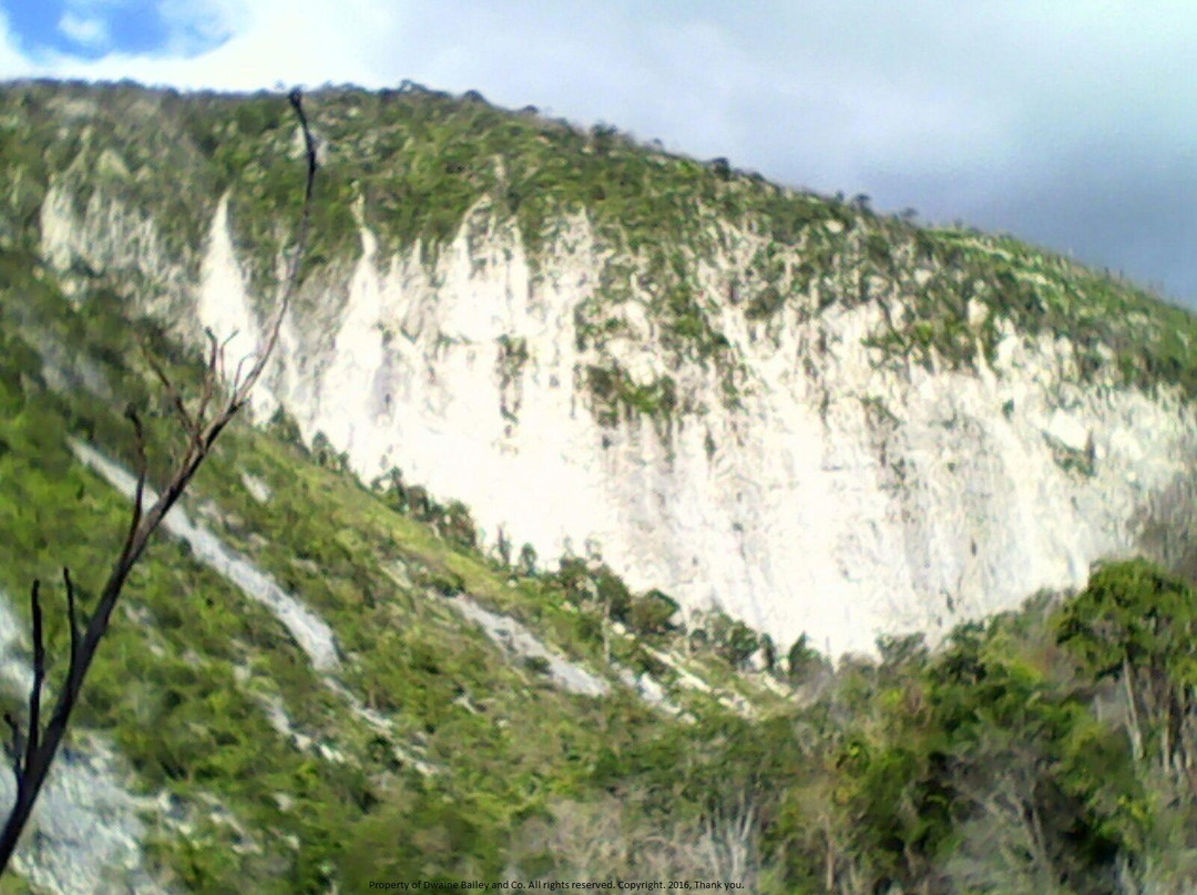 People's Choice Nature, Food and Hike Tours景点图片