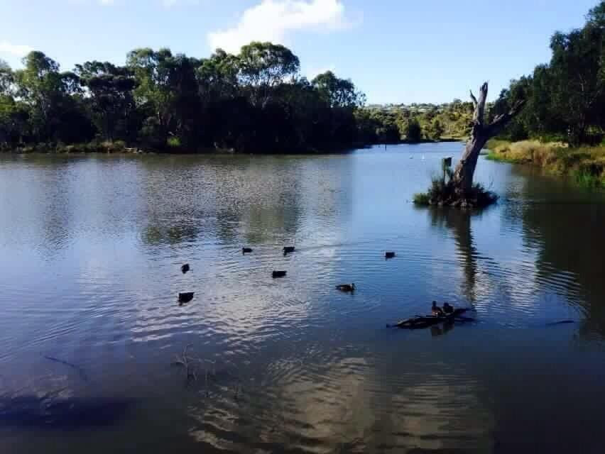 贝尔蒙特旅游景点-Balyang Sanctuary