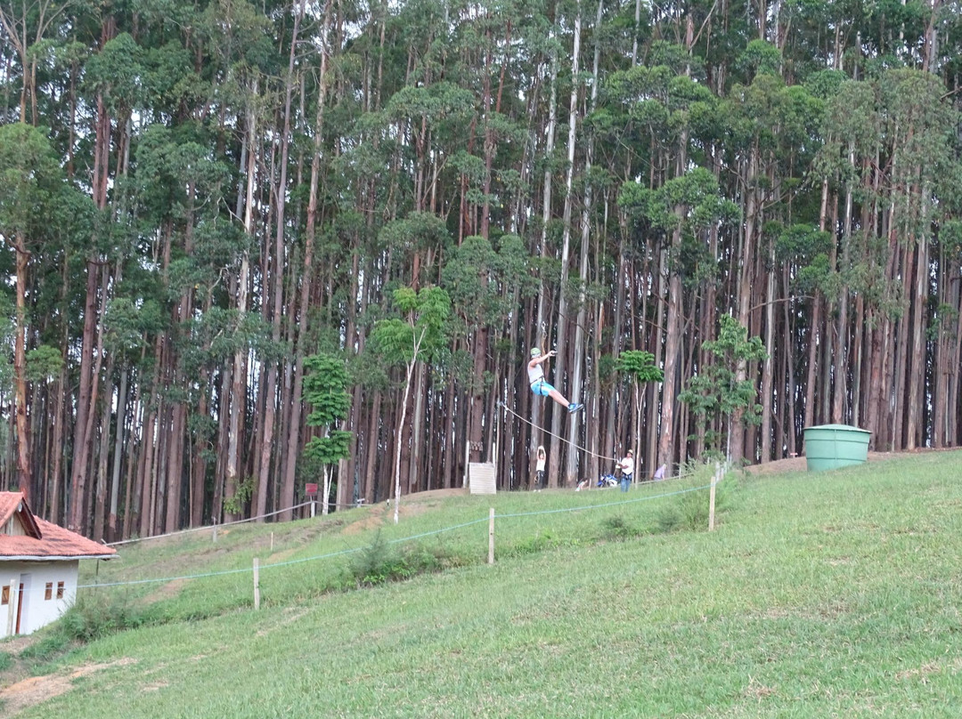 Selva Sassiri景点图片