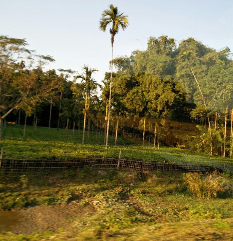 Digboi Oil Refinery-Digboi必去景点
